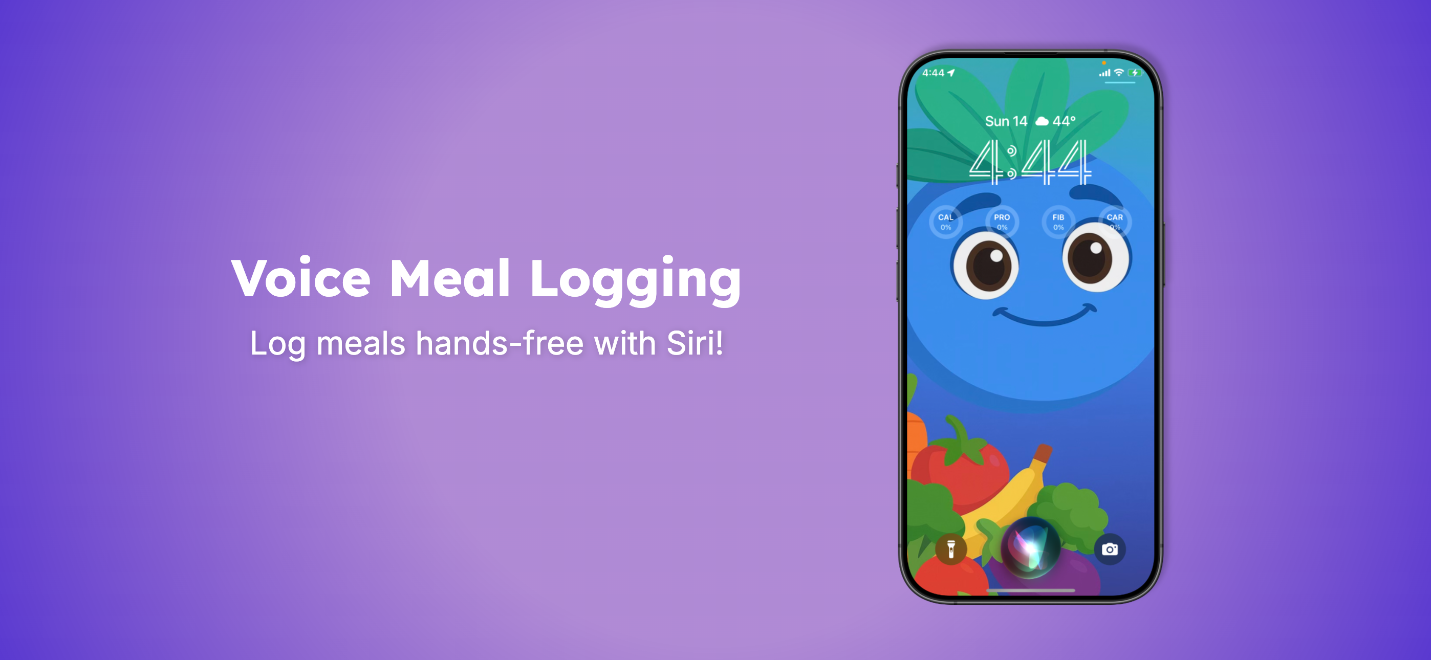 MealTrack feature preview 02