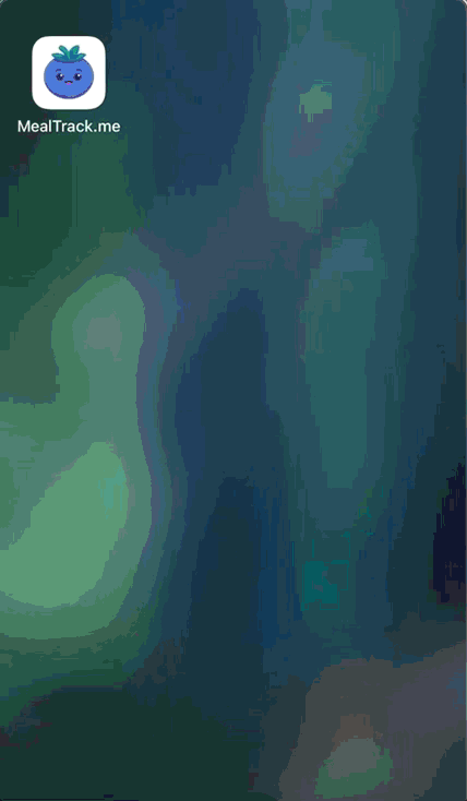 Animated meal logging flow demonstration